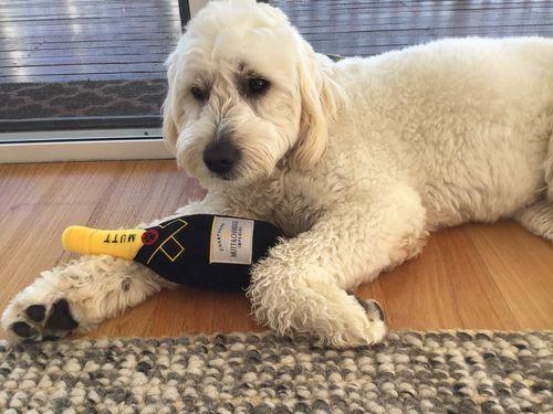 Dog Plush Champagne Chew Toy - Image 3